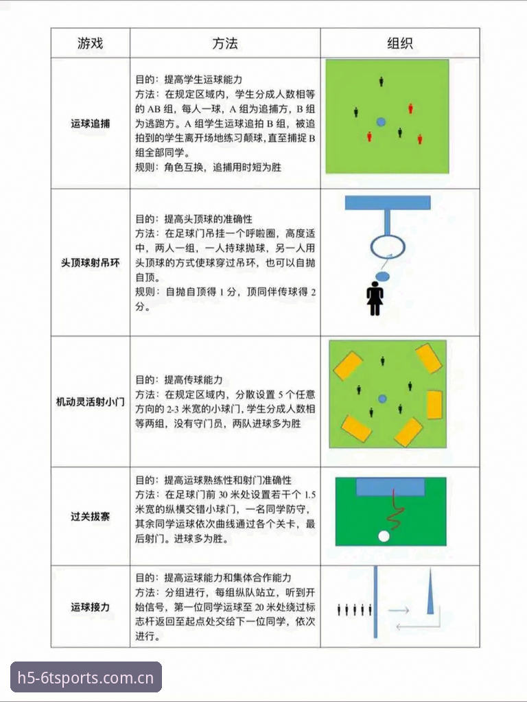深度评测6T体育官网教程：5个关键操作步骤与使用技巧